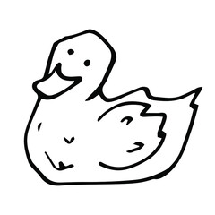 vector doodle outline icon of a hand-drawn duck. isolated on a white background. domestic farm poultry.