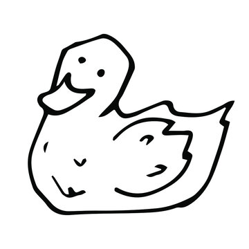 recommend clip art: vector doodle outline icon of a hand-drawn duck. isolated on a white background. domestic farm poultry.