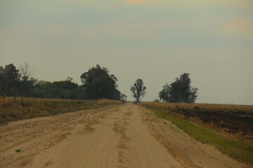 Fototapeta na wymiar Camino de tierra hacia Pellegrini, Corrientes - Iberá
