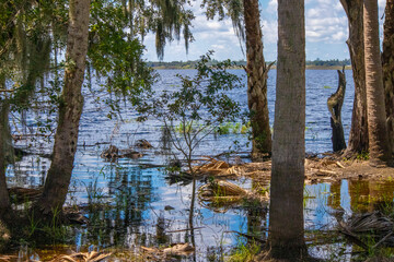 Myakka State Park in Florida during flood season