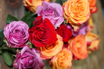 Branch of roses of various colors, red, orange, purple, women's day in Viseu, Portugal
