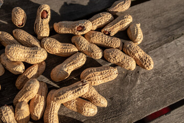 shelled peanuts on a wooden table in a picnic park, Viseu, Portugal