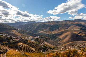 douro vineyard in the douro valley with amazing blue clouds , Portugal - obrazy, fototapety, plakaty