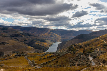 Viewpoint to Douro river, inserted in the Douro Valley , Portugal wine
