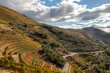Fantastic road through the Douro vineyards, Porto District, Portugal