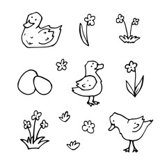 vector Doodle set with drawings of domestic farm birds. icons of ducks, ducklings, eggs, flowers. isolated on a white background.
