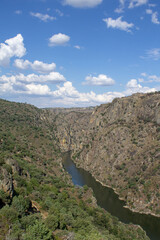 background, backgrounds, beautiful, blue, cloud, douro portugal, douro sunrise, douro sunset, environment, europe, fall, forest, grass, green, green color background, hill, horizon, landscape, landsca