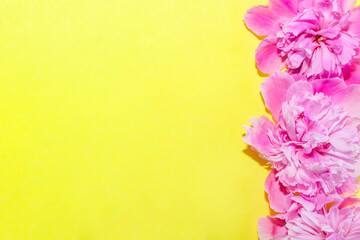 Yellow background with peonies flowers and place for text.