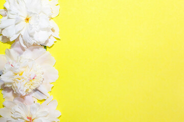 Fototapeta na wymiar Yellow background with peonies flowers and place for text.