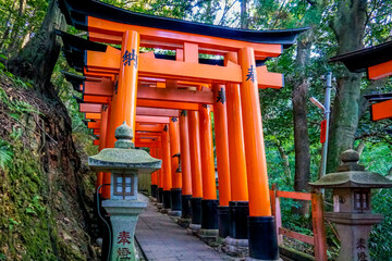 京都　伏見稲荷大社