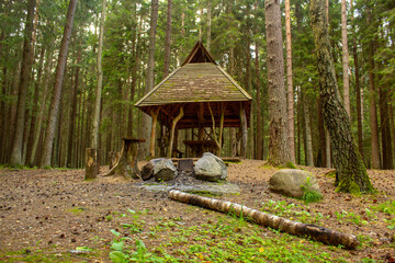 Wooden house in the middle of the green forest,, Tauragé Town, Lithuania