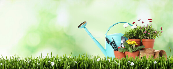 Potted blooming flowers and gardening tools on green grass against blurred background, space for...