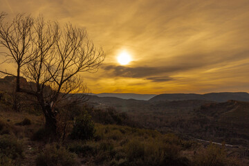 Fantastic sunset on the mountain, with a dead tree in the foreground, Spain