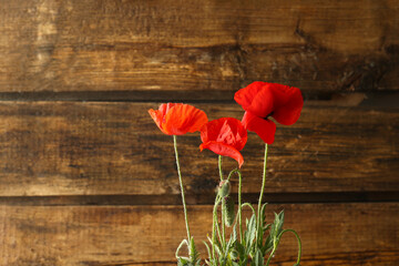 Plakat Beautiful red poppy flowers on wooden background