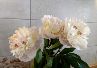 Three white peonies flowers bouquet