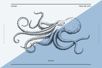 Hand-drawn image of an octopus on a light background. Ocean animal. Retro picture for the menu of fish restaurants, markets and shops. Vector illustration in vintage engraving style. © KOSIM