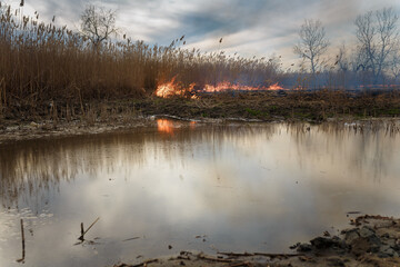 Obraz na płótnie Canvas Burning reeds at river. Nature fire landscape. Devastation of wildlife, human influence on planet. Air pollution, hot and dry climate, environment, Earth saving concept