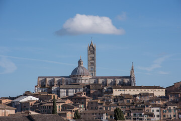 Fototapeta na wymiar Panorama of Siena with the cathedral on the background