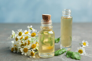 Bottles of essential oil and fresh chamomiles on grey stone table