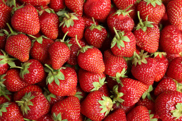 Tasty ripe strawberries as background, top view