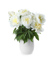 Obraz na płótnie Canvas Beautiful blooming peonies in vase isolated on white