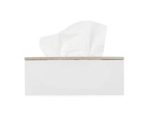 Holder with paper tissues isolated on white