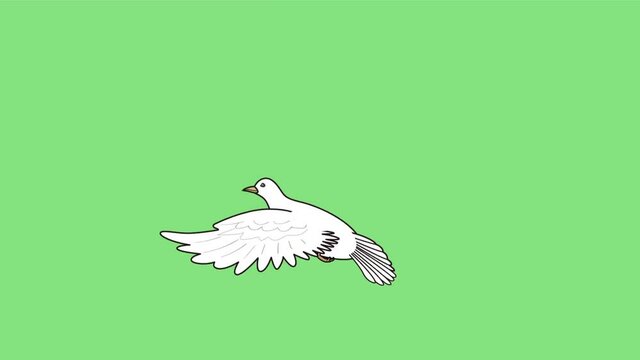 羽ばたく鳩-緑背景