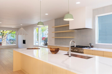 Interior of a mid-century modern spacious kitchen