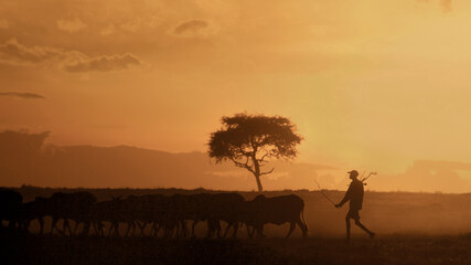 Naklejka na ściany i meble Maasai Mara sunset with farmer and his cattle, Kenya