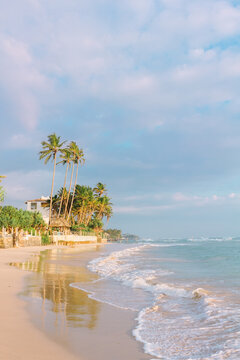Tropical beach in soft evening sunlight. Sandy shore, palm trees and soft ocean wave. Ahangama, Sri Lanka.