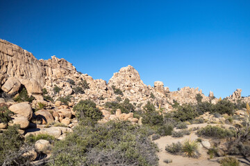 Fototapeta na wymiar Desert Landscape of Mountains and Trees in Joshua Tree National Park California 