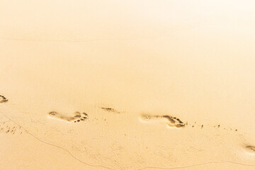 Fototapeta na wymiar Footprints on the yellow sand and tropical beach or desert in warm sun light. Copy space for text.