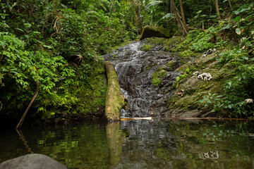 Naklejka na ściany i meble River in the Toro Negro State Forest. This place is located in the south-central part of Puerto Rico between the municipalities of Orocovis, Jayuya, Ponce, Juana Díaz and Ciales