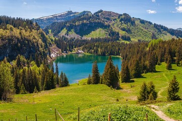 Lake Lac des Chavonnes in Switzerland surrounded by the mountains and trees