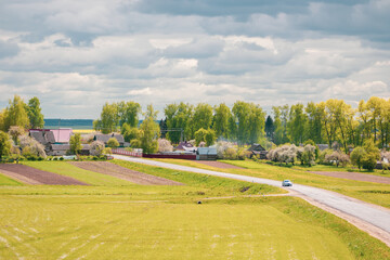 rural landscape with road and trees