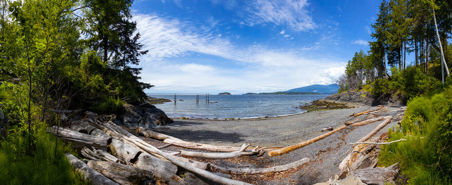 Beautiful Panoramic View of Pebbly Beach during a sunny day. Taken on Bowen Island, British Columbia, Canada.