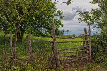 A cancela do sertão