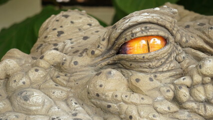 Close up of a of Crocodile eye