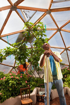 hispanic couple gardening in geodesic dome greenhouse