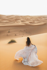 Portrait of bride woman in amazing wedding dress in Sahara desert, Morocco. Warm evening light, beautiful pastel tone, sand dunes on horizon. View from behind.