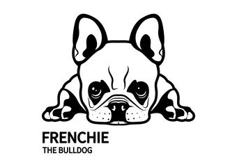 French bulldog is lying down on the floor with boring mood, design in black and white stencil painting.