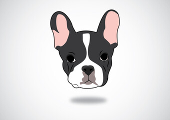 Cute Black & White Frenchie face portrait in the gray background vector
