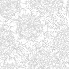 Seamless pattern with peonies flower hand drawn in lines. Graphic doodle elements. Isolated vector illustration, template for design