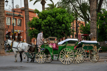 Fototapeta na wymiar the famous colorful carriage and tourists in traditional Jamaa el Fna square (also Jemaa el-Fnaa, Medina , Djema el-Fna or Djemaa el-Fnaa) in Marrakesh, Morroco