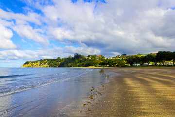 Panoramic View of Scandrett Regional Park, Auckland New Zealand