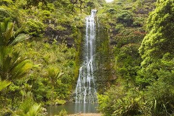 Karekare Waterfalls Auckland, New Zealand