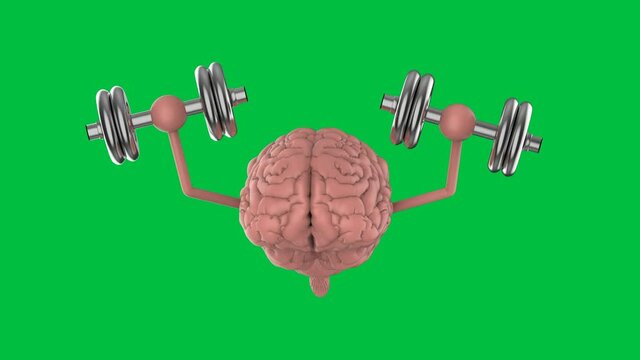 3d rendering brain holding dumbbells on green screen background 4k footage