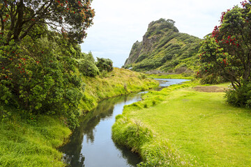 Fototapeta na wymiar Landscape Scenery at Karekare Beach Regional Park Auckland New Zealand; Small Stream Flowing to the Sea at Karekare Beach