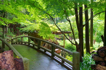 Fototapeta premium 阿弥陀寺の風景