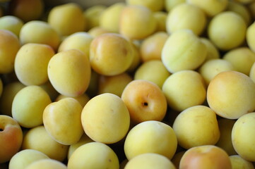 美味しそうな梅